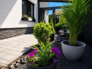 Vila GARUFA Wellness & Spa