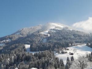 Appartements Oberhauser