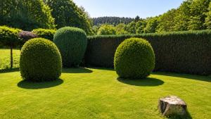 ANTHELIA Ferienwohnung Nähe Nürburgring Eifel ruhige Lage mit großem Garten
