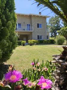 Pratelli B&B