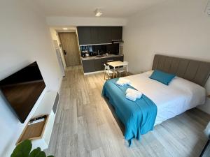 Somnium Palermo 802 Studio