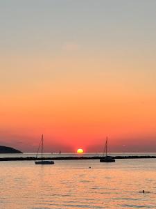 Cocoon in Vallon des Auffes