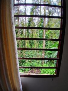 Anagha Stay - Chikmagalur