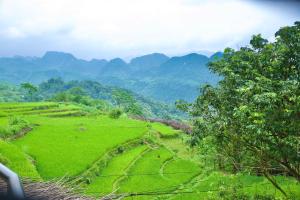 Puluong Qui E Ora