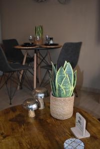 Lithi Urban Apartment