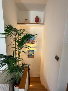Sant Eligio Apartments - Duplex