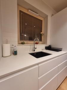 Welcome Gdańsk Apartments Angielska Grobla