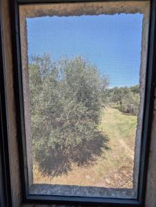 Podere Spedalone