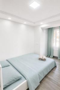Apartment "B" with a separate bedroom