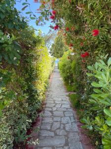 Nikiti Beachfront House