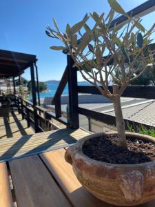 Mobile House on Drage Beach