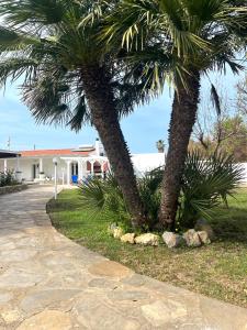 La Perla img49