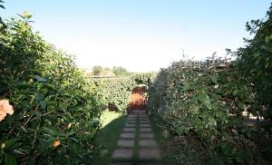 Villetta indipendente con 2 camere