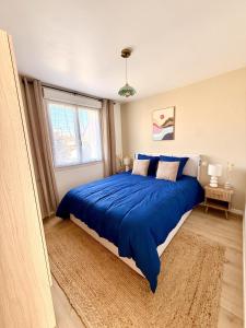 Cozy Flat Le Mans
