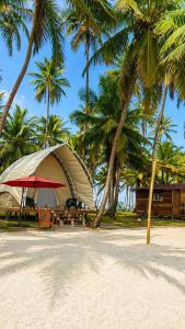 Islas de San blas Glamping