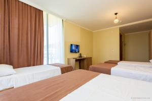 hotel scorpio gonio