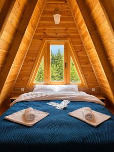 Golden pine chalet Žabljak