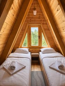 Golden pine chalet Žabljak
