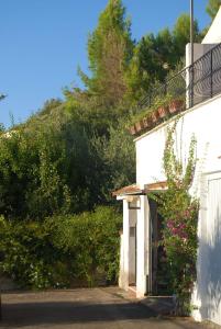 Villa Viviana