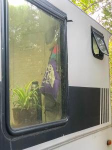 La LOGUI Viajera, Casita Rodante dentro del Parque Nacional LAGO PUELO
