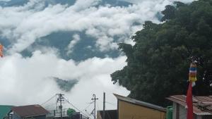 Mist N Mountain