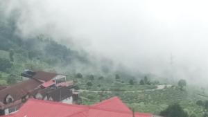 Mist N Mountain
