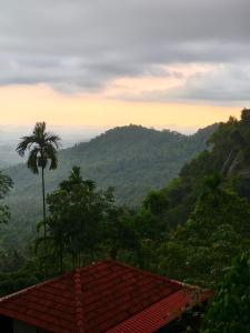 Pebble Falls Jungle Resort