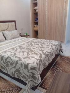منازل وشقق