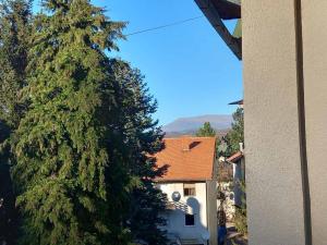 Apartmani Aleksići-AS Sokobanja U CENTRU