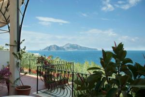 Villa Viviana