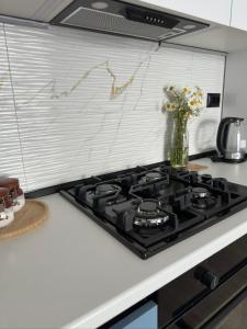 Modern Comfort Home