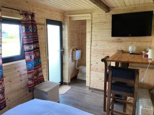 Bran Nori Albi Vila si Cabana