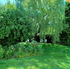 Ferienwohnung Stadt-Land-Fluss