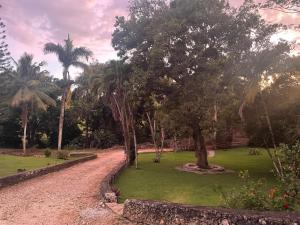 El Castillo Tropical Cabrera