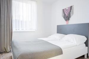 Apartamenty Jeżynowa 20 - Przestronne Apartamenty z Placem Zabaw