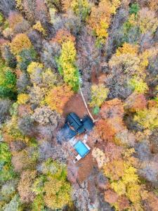 Forest Escape with Jacuzzi & Pool Among the Trees by Destination GREEN Croatia