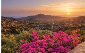 Garden Residence Andros with Sea View & Pool