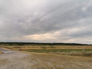 12 person holiday home in Læsø