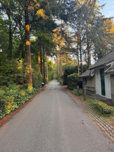 Vrijstaand boshuisje - Veluwe - Rust en Natuur