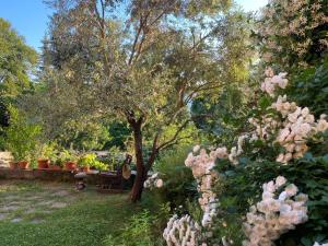 Casa dei Fiori