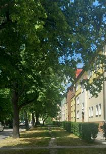 Apartament Szałwiowy