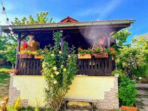 Cozy Quiet Retreat 70km from Sofia