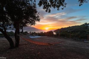 Ninas Sunset