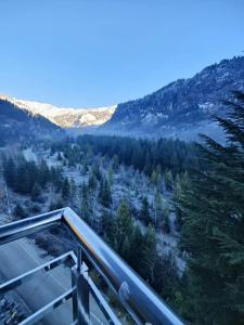 Navaura Stays & Cafe, Old Manali