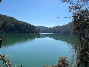 Fresh retreat in Carcès, dogs welcome, lake, walks
