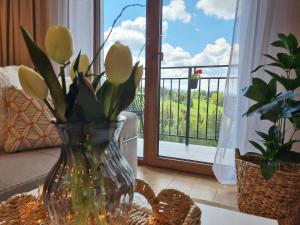 Apartament Kwiat Paproci
