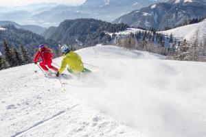 Alpen Appartements Oberlehengut