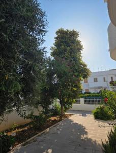Villa Maria Luisa