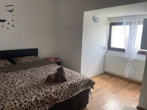 Inchiriez apartament central cu 1 camere et 4