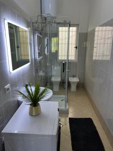 Zeus Guest House